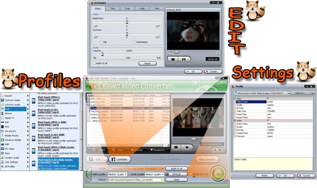Leawo Video Converter (click to view large size)