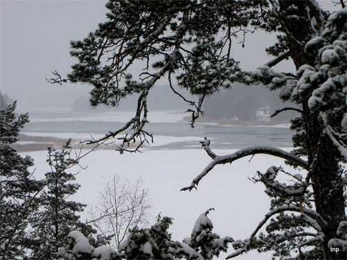 Wallpaper-winter-landscape-finland in Beautiful Christmas Pictures and Creative Christmas Designs