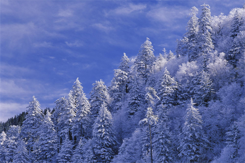Wallpaper-winter-landscape-great-smokey-mountains-2 in Beautiful Christmas Pictures and Creative Christmas Designs