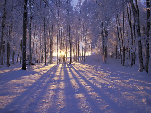Wallpaper-winter-sunset-alaska in Beautiful Christmas Pictures and Creative Christmas Designs