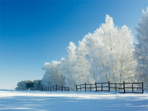 Wallpaper-winter-wonderland-blue-white in Beautiful Christmas Pictures and Creative Christmas Designs