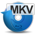 Leawo Blu-ray to MKV Converter