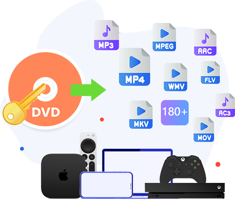 Universal Bridge: Global Disc Parsing Meets Massive Format Freedom