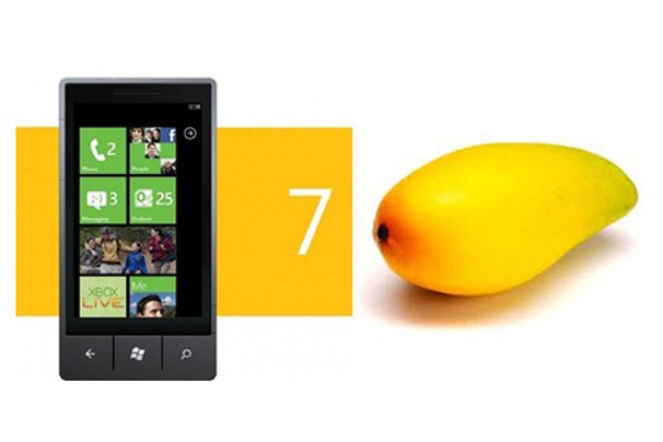Windows Phone 7 platform