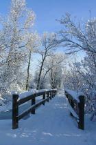 snedækket-bro