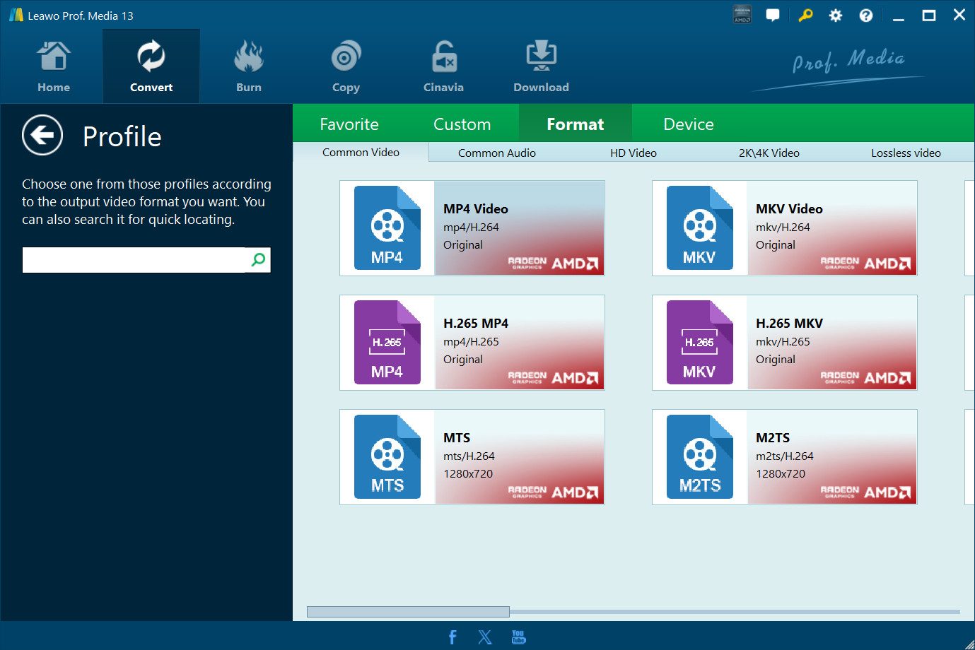 set-wmv-as-output-format set-wmv-as-output-format