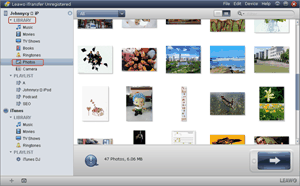 Trouver des photos