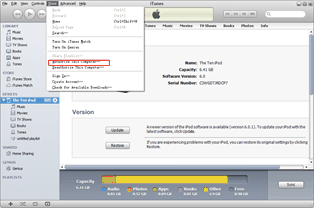 iPod app to computer: Authorize iTunes