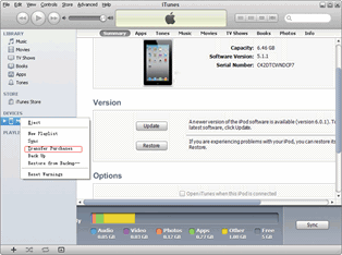 Musica da iPad mini per iPod touch 5: Trasferimento iPad mini acquisti