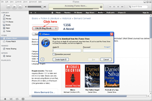 Ebooks from iPad 4 to iPod touch 5: Download iPad 4 purchases