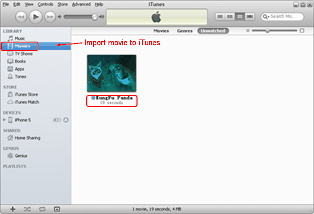 DVD movie to iPhone 5: Import MP4 to iTunes