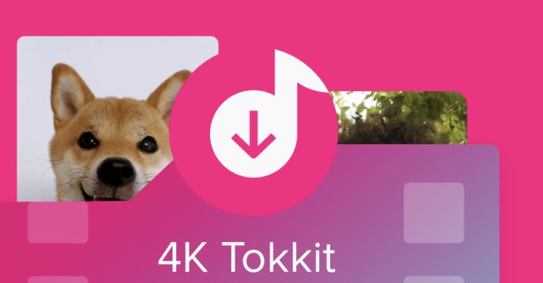 tiktok downloader