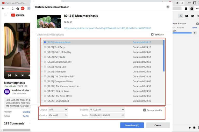 ladda ner filmer från YouTube