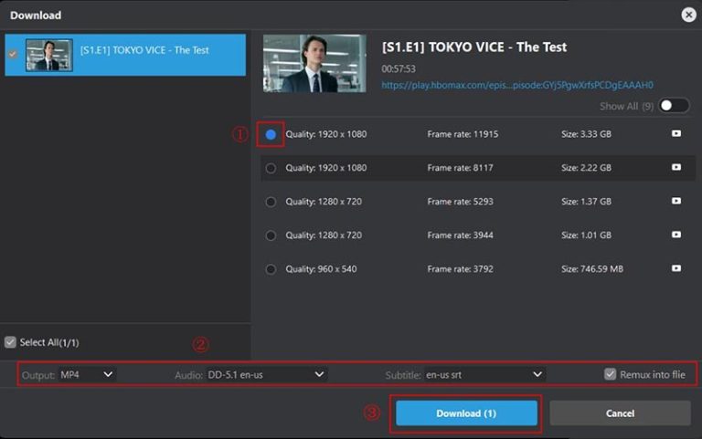 download-HBO-Max-options