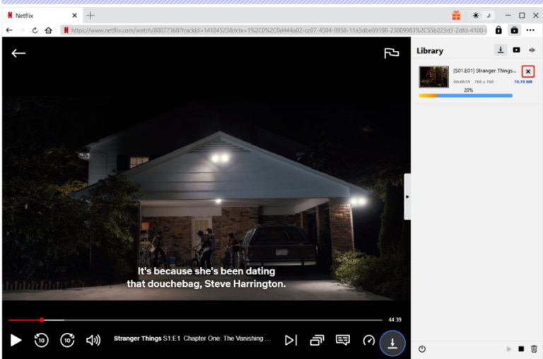download netflix subtitles