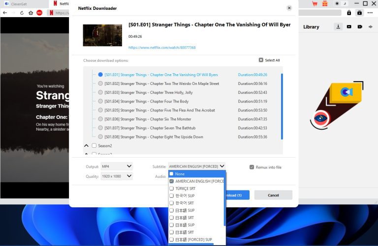 download netflix subtitles