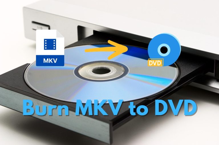 mkv para dvd