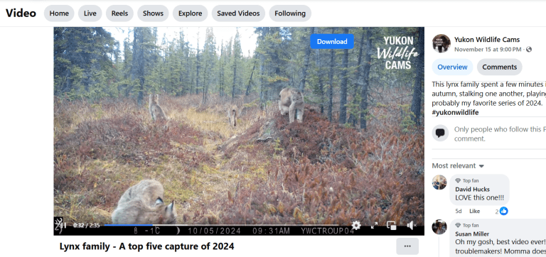 télécharger la vidéo facebook privée télécharger la vidéo facebook privée