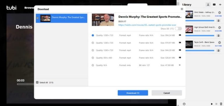 비디오를 mp4로 다운로드