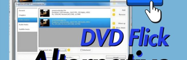 dvd flick