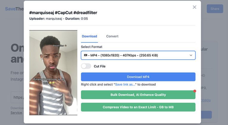 savethevideo review savethevideo review