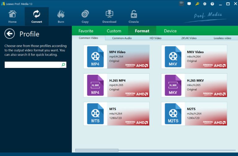 프로필-형식-with-leawo 프로필-형식-with-leawo