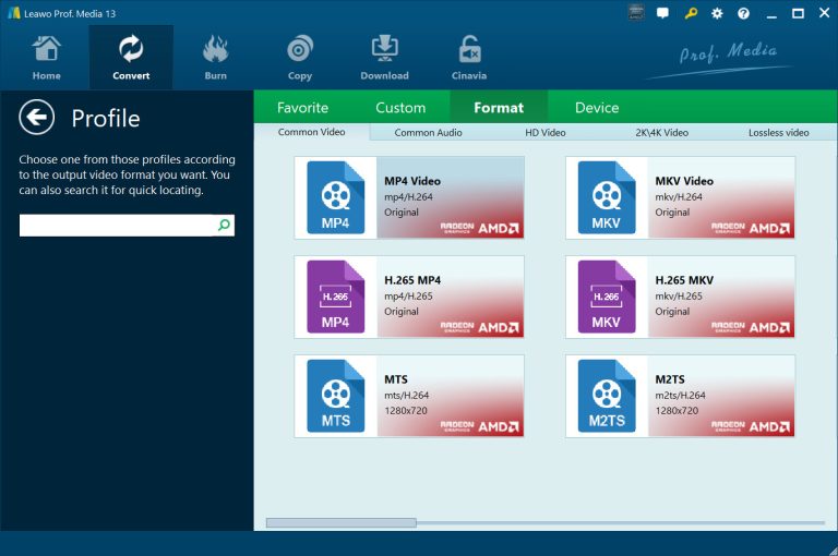 Choose-Output-Profile