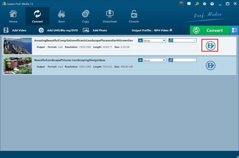 click-edit-icon-leawo-converter