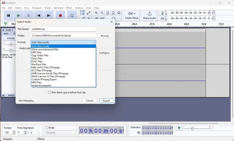 export-recorded-audio-audacity