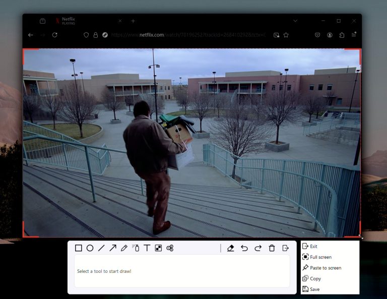 how to screenshot netflix