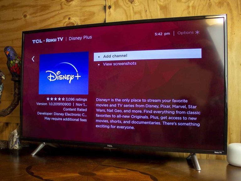 roku-disney-plus