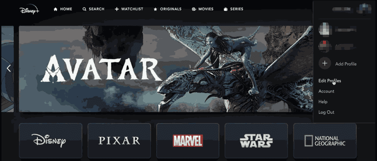 Klicken Sie auf das Symbol „Profil bearbeiten“