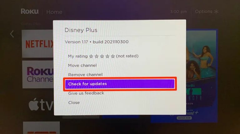 Update-Disney-Plus-App-Device-Software
