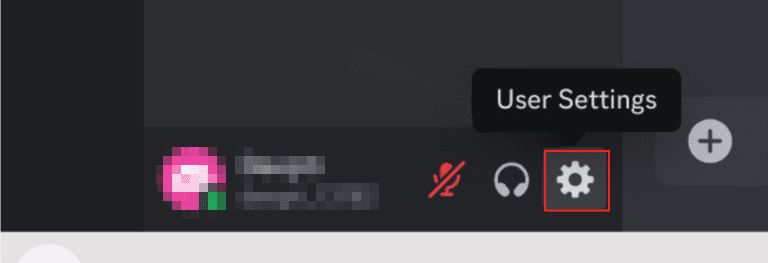 enter-discord-user-settings