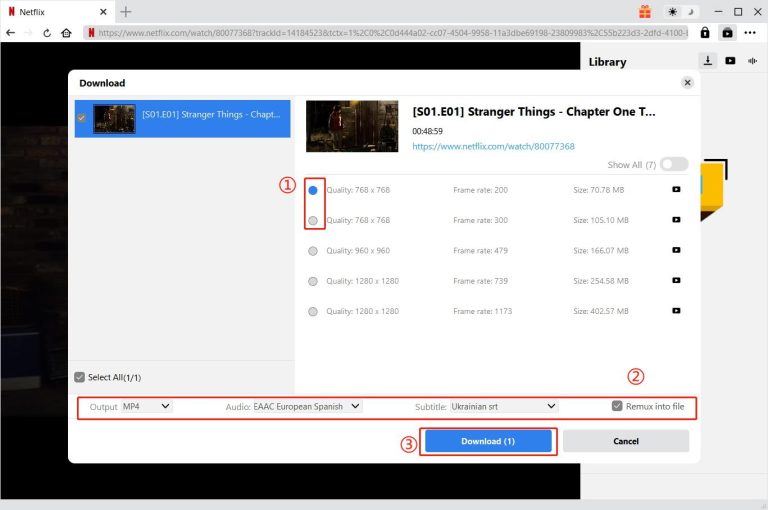 download Netflix video with cleverget