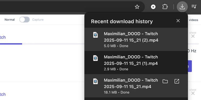 stream recorder extension options