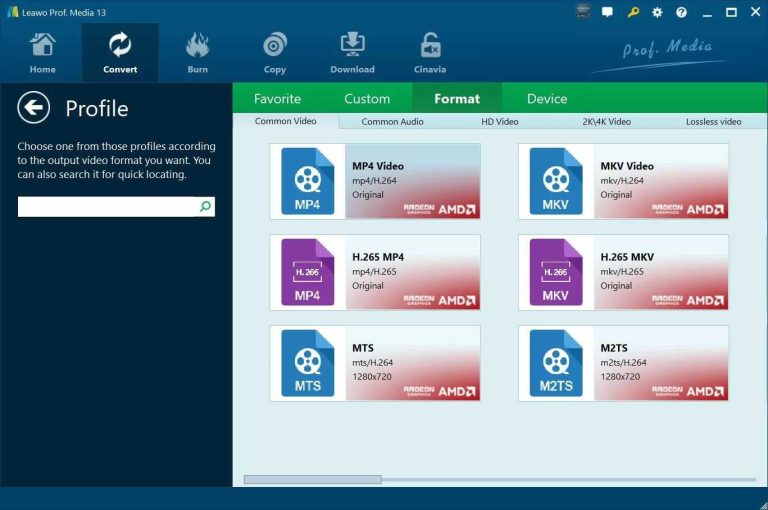 選擇輸出格式leawo