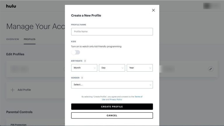 add profile in Hulu account