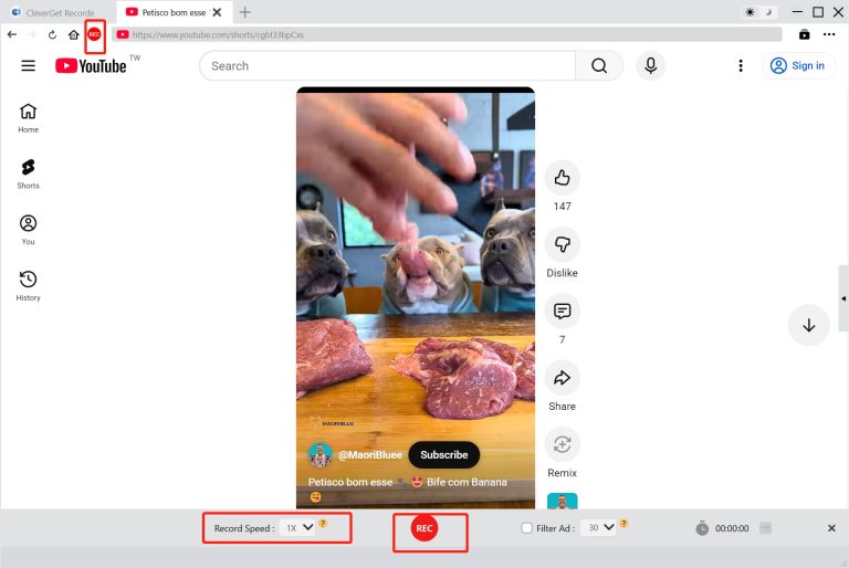 click-REC-steps-of-cleverget-recorder click-REC-steps-of-cleverget-recorder