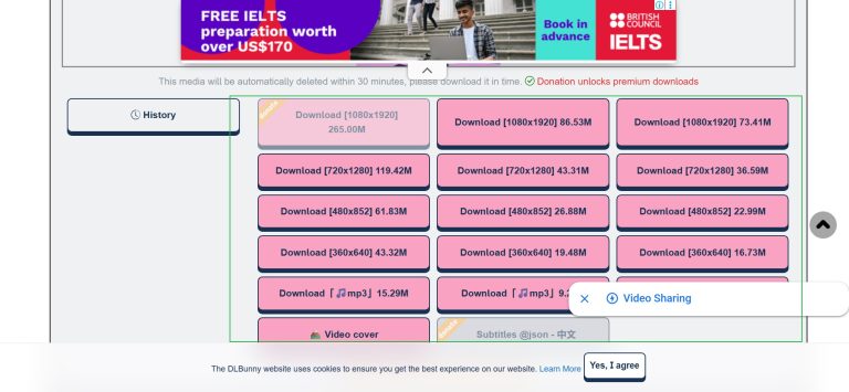 dlbunny-download-option dlbunny-download-option