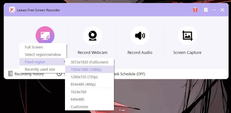choose-region-to-recorde-leawo-recorder