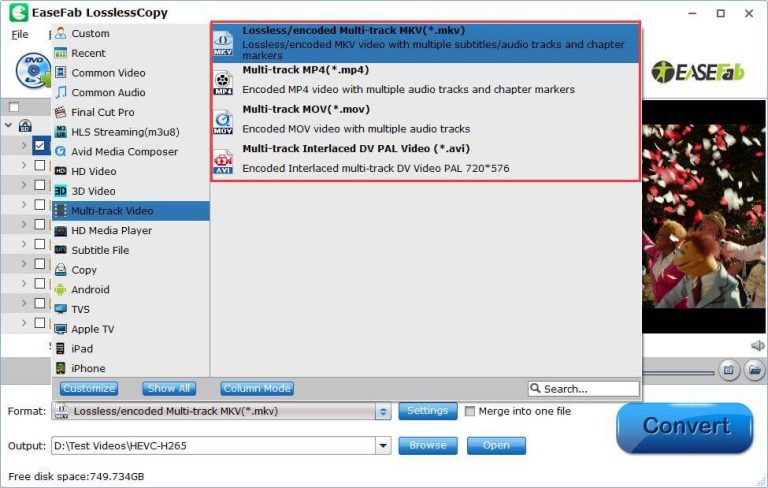 EaseFab-LosslessCopy-output-formats