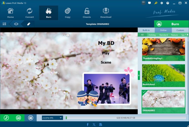 set disc menu