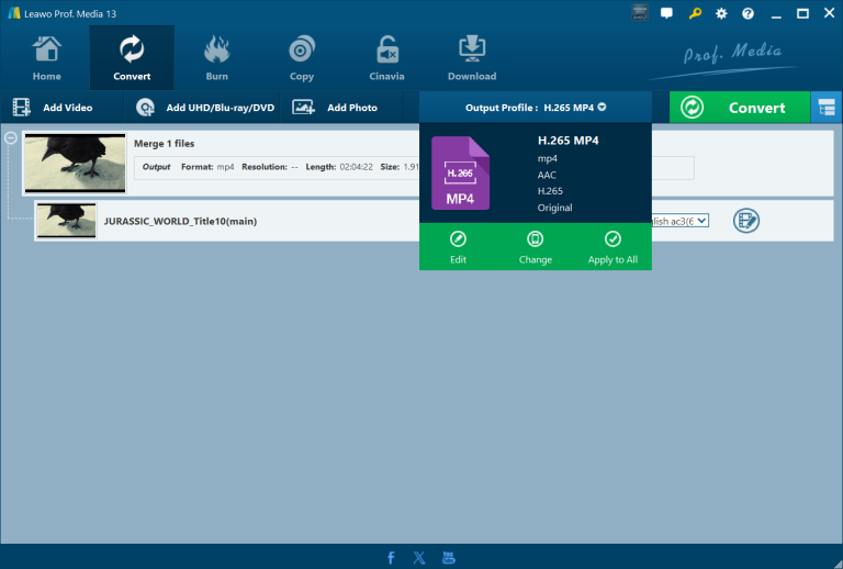 leawo dvd ripper output profile interface