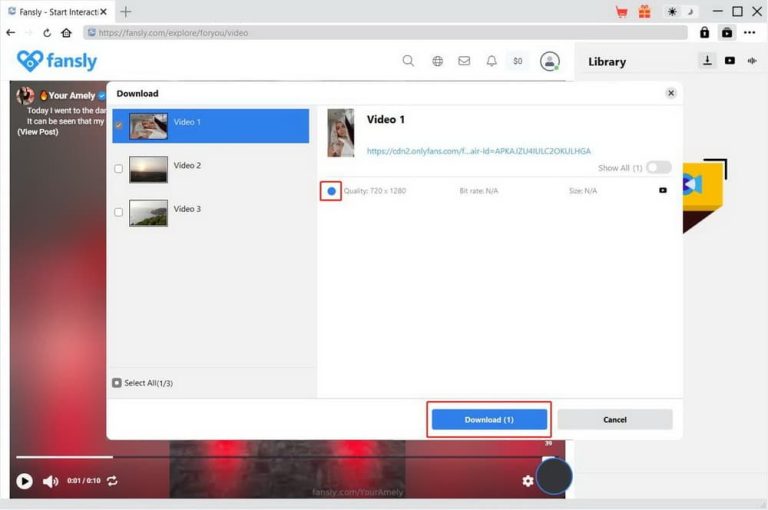 cleverget fansly downloader